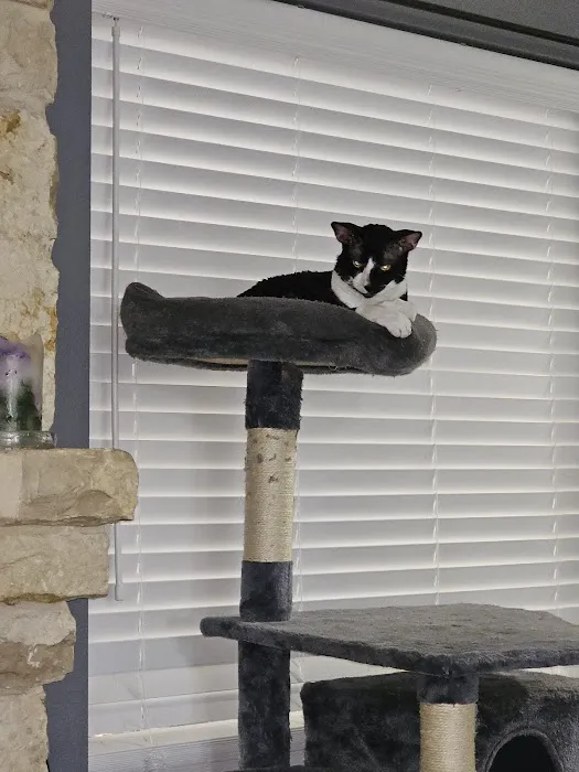 Country Hills Veterinary Clinic 12