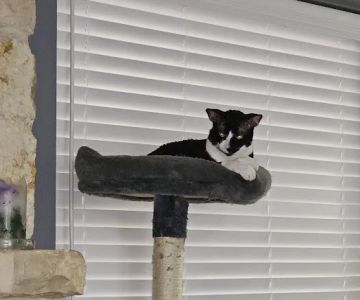 Country Hills Veterinary Clinic