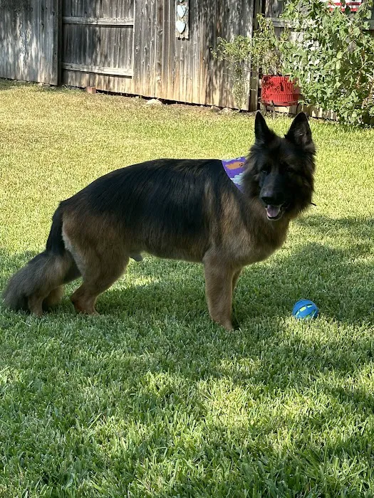 CityVet | Cibolo Crossing 12