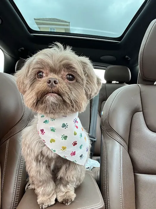 CityVet | Cibolo Crossing 12