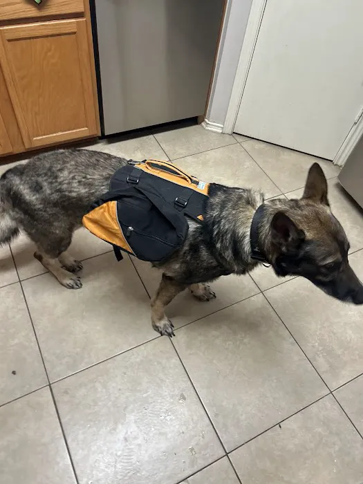 CityVet | Cibolo Crossing 12