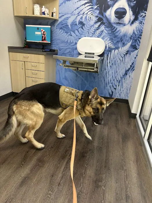 CityVet | Cibolo Crossing 12