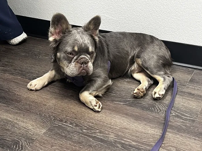 CityVet | Cibolo Crossing 12