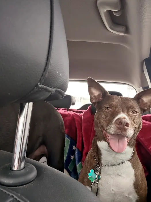 CityVet | Cibolo Crossing 12