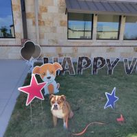 Turning Stone Animal Hospital ico