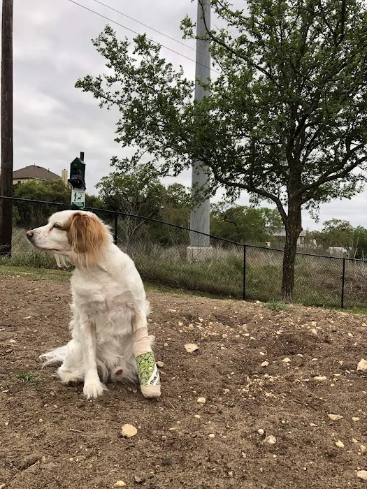 Allure Veterinary Hospital & Urgent Care 12