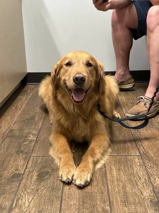 Allure Veterinary Hospital & Urgent Care 12