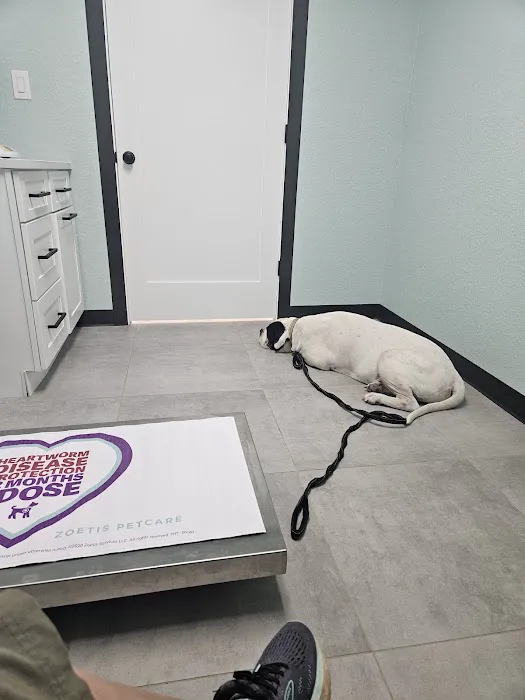 La Vernia Veterinary Hospital 12