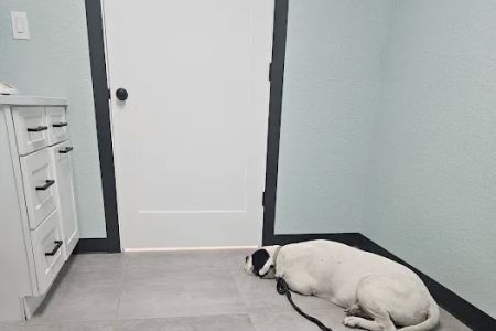 La Vernia Veterinary Hospital