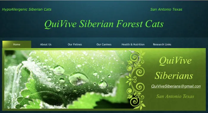 QuiVive Siberians 12