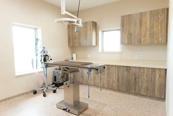 Wyatt Veterinary Services 12