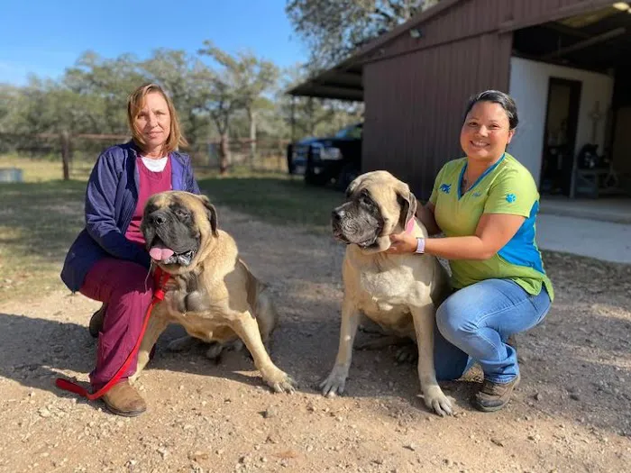 Wyatt Veterinary Services 12
