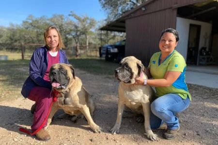 Wyatt Veterinary Services