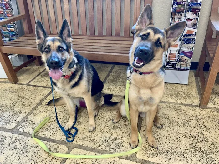 Oak Hills Animal Hospital 12