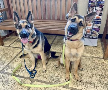 Oak Hills Animal Hospital