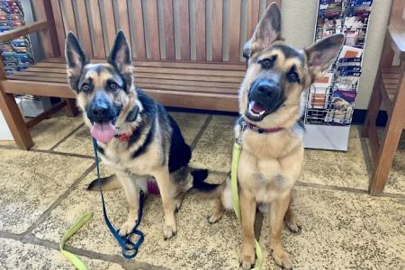 Oak Hills Animal Hospital