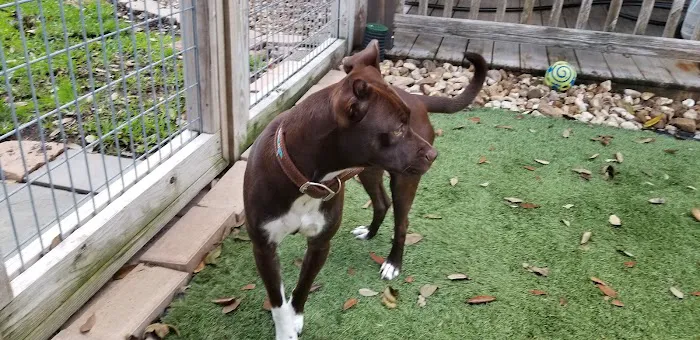 Oak Hills Animal Hospital 12