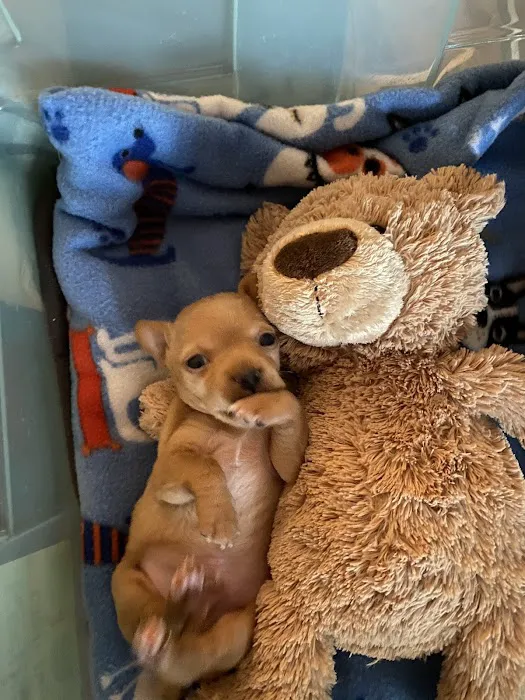 Oak Hills Animal Hospital 12
