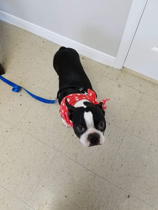 Fair Oaks Ranch Veterinary 12