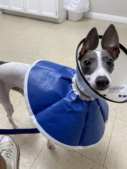 Fair Oaks Ranch Veterinary 12