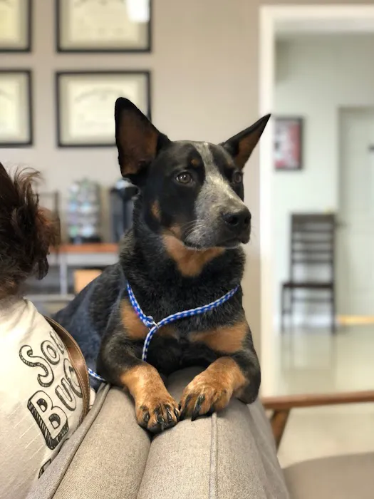 Fair Oaks Ranch Veterinary 12