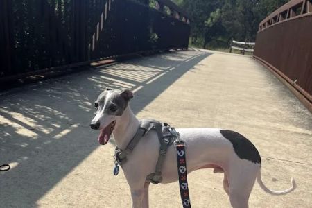 Fair Oaks Ranch Veterinary