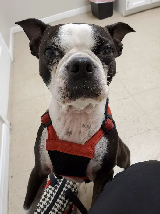 Fair Oaks Ranch Veterinary 12