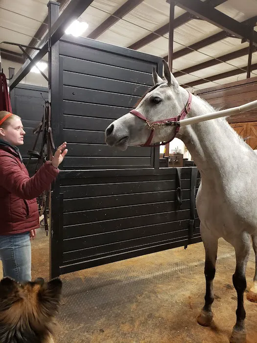 Hill Country Equine 4