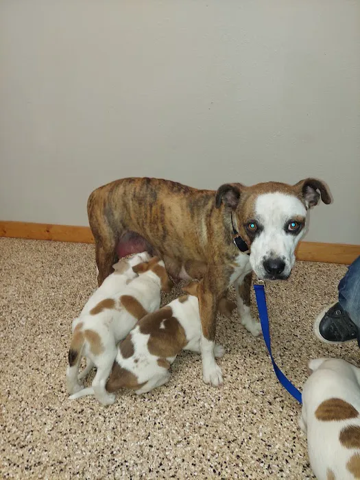 Kendall County Veterinary Center 1