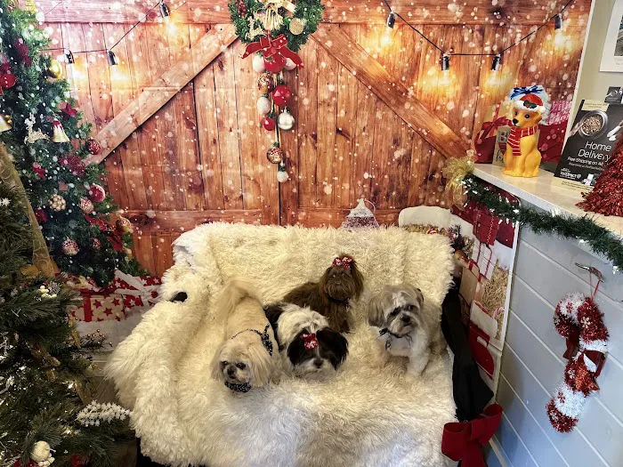 Kendall County Veterinary Center 5