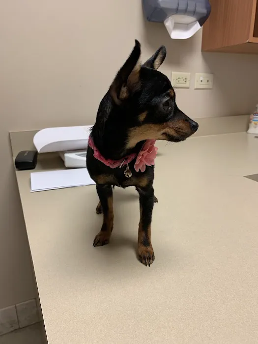 Cibolo Creek Veterinary Hospital 6
