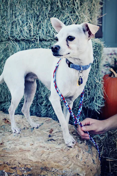 Cibolo Creek Veterinary Hospital 8