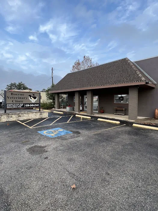 Boerne Veterinary Clinic 5