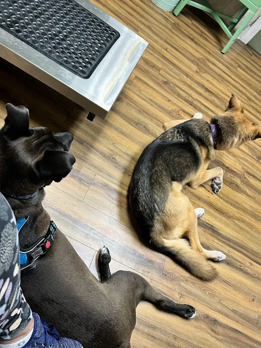 Boerne Veterinary Clinic 3