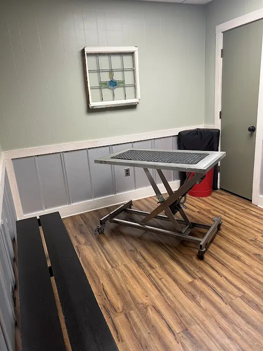 Boerne Veterinary Clinic 2