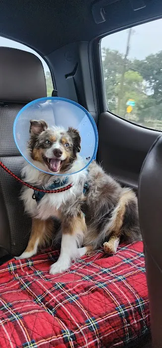 Boerne Veterinary Clinic 7