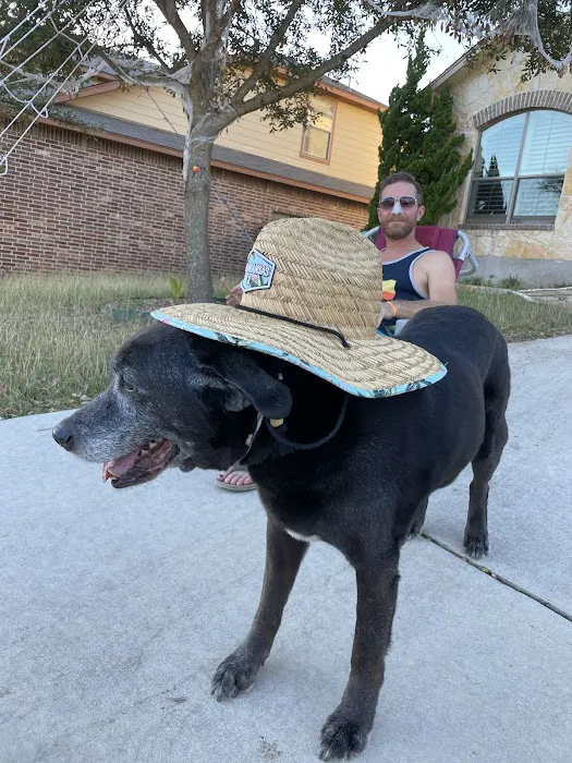 Boerne Veterinary Clinic 6