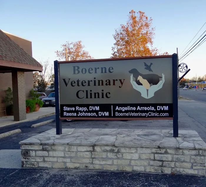Boerne Veterinary Clinic 8