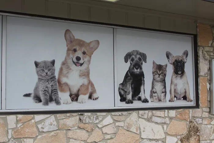 Hill Country Animal League (Low Cost Spay and Neuter Clinic) 8