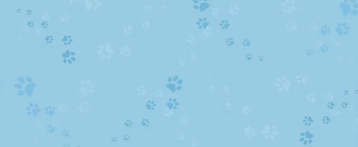 Veterinary Internal Medicine & Diagnostic Center 12