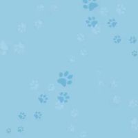 Veterinary Internal Medicine & Diagnostic Center ico