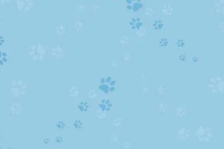 Veterinary Internal Medicine & Diagnostic Center