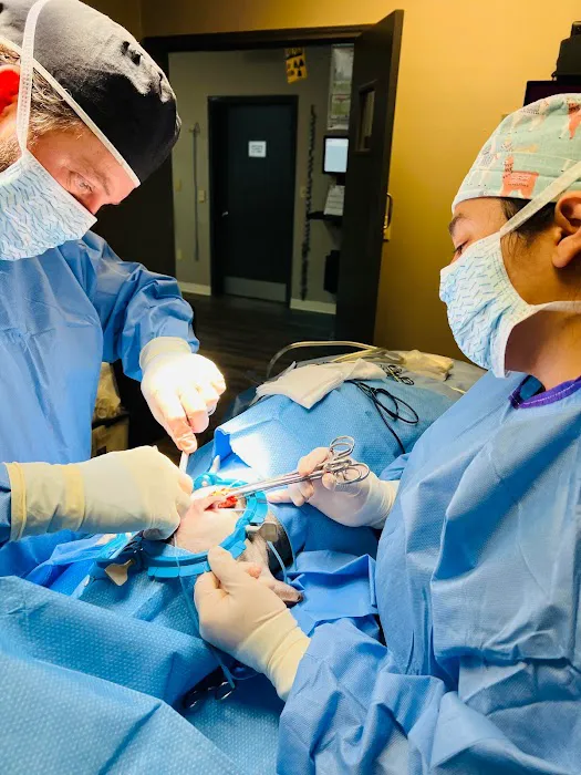 Hill Country Veterinary Surgical Specialty, PLLC 12