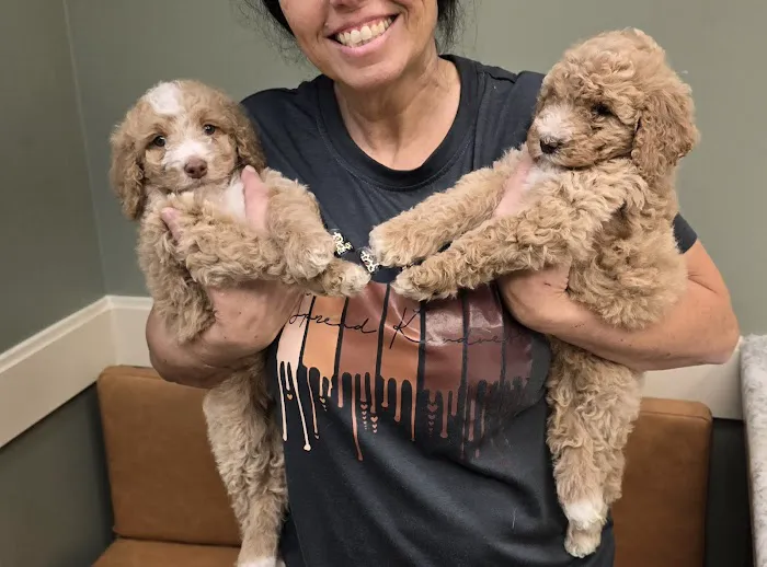 Lee's Veterinary Hospital 12