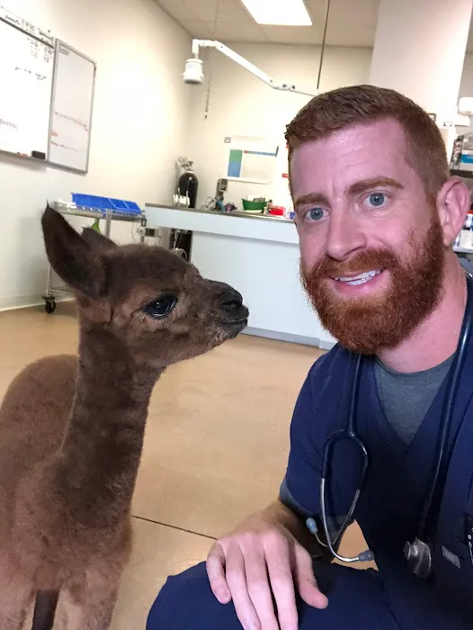 Northside Veterinary Hospital 12