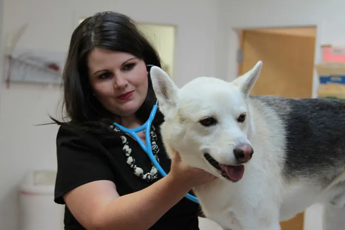Northside Veterinary Hospital 12