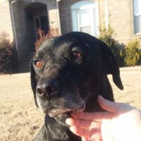 Stewart Animal Clinic: Bonds Tara DVM ico