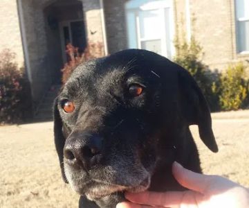 Stewart Animal Clinic: Bonds Tara DVM