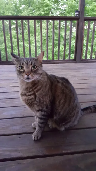 Stewart Animal Clinic: Bonds Tara DVM 3