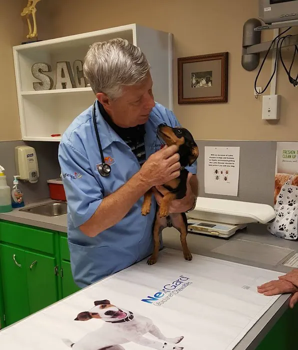 Stewart Animal Clinic 5